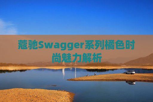 蔻驰Swagger系列橘色时尚魅力解析